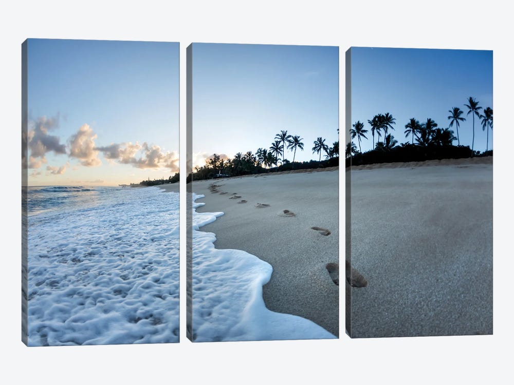 Footsteps To Paradise by Sean Davey 3-piece Canvas Artwork