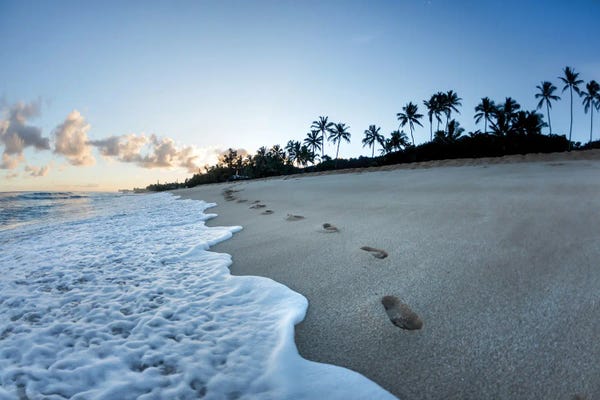 Sean Davey: Footsteps To Paradise by Sean Davey