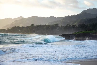 Frontier Curl by Sean Davey art print