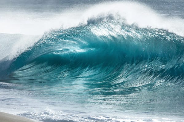 Large Coastal Art - Canvas Prints: Frosty Curl by Sean Davey