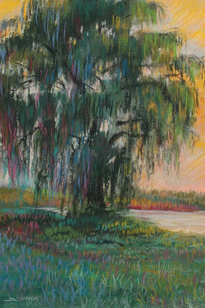 Curtis Farm Willow Tree by Sharon Sunday canvas print