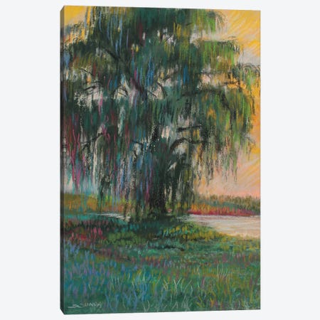 Curtis Farm Willow Tree Canvas Print #SDY10} by Sharon Sunday Canvas Wall Art