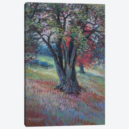 Ella Sharp Tree Canvas Print #SDY12} by Sharon Sunday Canvas Wall Art