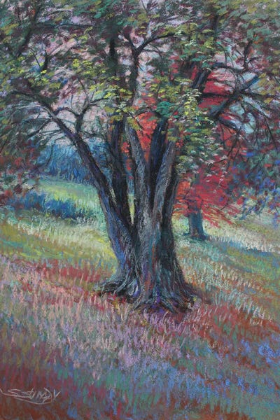 Sharon Sunday: Ella Sharp Tree by Sharon Sunday