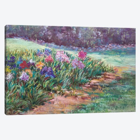 Garden Iris Canvas Print #SDY14} by Sharon Sunday Art Print