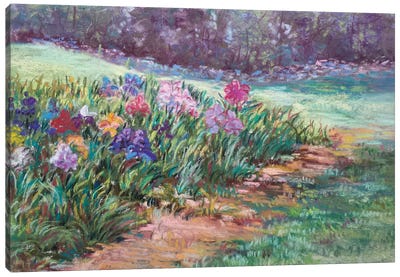 Garden Iris Canvas Art Print - Iris Art