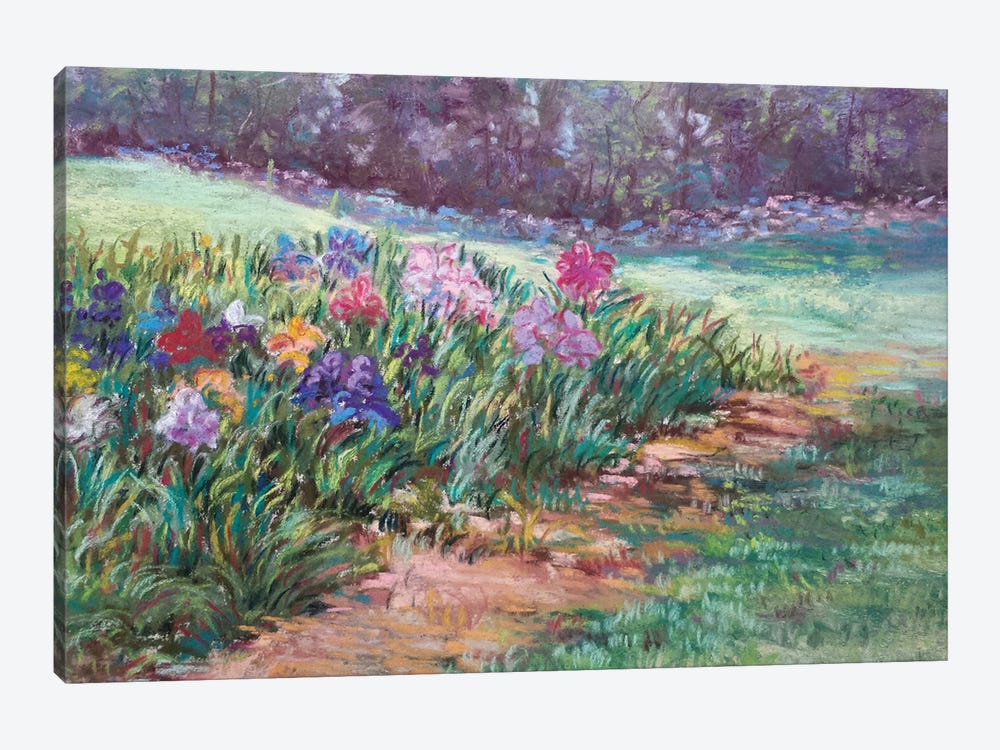 Garden Iris by Sharon Sunday 1-piece Canvas Artwork