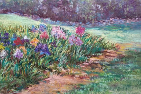 Sharon Sunday: Garden Iris by Sharon Sunday