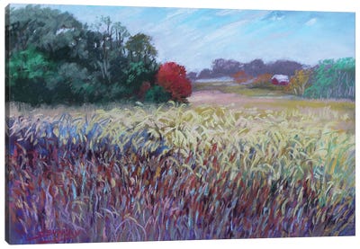 Kaye's Field Canvas Art Print - Plein Air Paintings