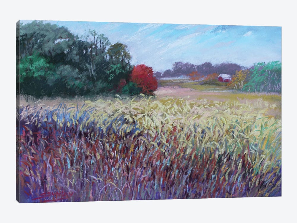 Kaye's Field by Sharon Sunday 1-piece Canvas Art