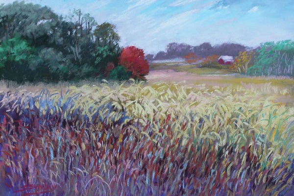 Plein Air Paintings: Kaye's Field by Sharon Sunday