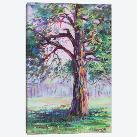 Kimmel Road Tree Canvas Print #SDY19} by Sharon Sunday Canvas Artwork