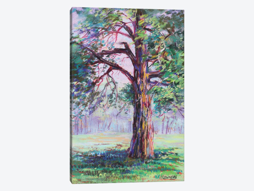 Kimmel Road Tree by Sharon Sunday 1-piece Canvas Art Print