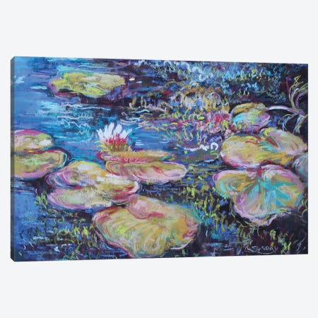 Lily Pads In The Morning Canvas Print #SDY22} by Sharon Sunday Canvas Art Print