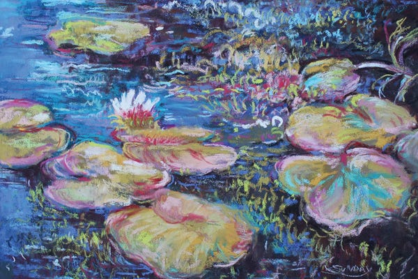 Water Lilies: Lily Pads In The Morning by Sharon Sunday