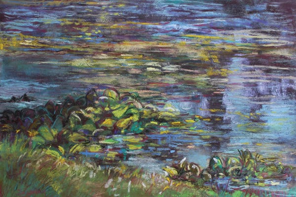 Water Lilies: Lil Pads Reflecting by Sharon Sunday