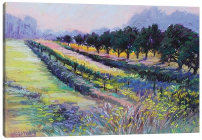 Meckley's Farm Canvas Art Print - Sharon Sunday