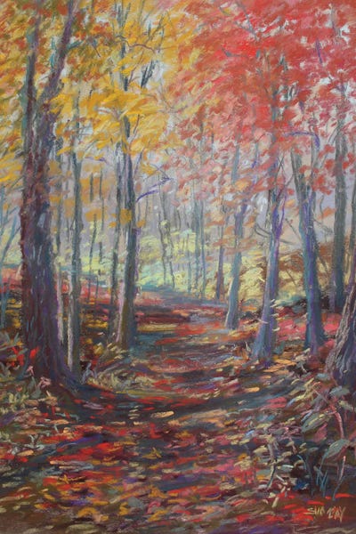 Meridian Baseline State Park by Sharon Sunday canvas print