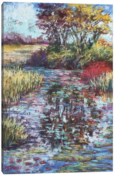 A Favorite Place Canvas Art Print - Marsh & Swamp Art