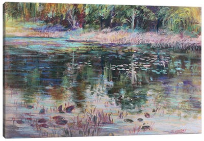 Remembering The Pond Canvas Art Print - Sharon Sunday
