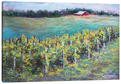 Sandhill Crane Winery View Canvas Art Print - Vineyard Art