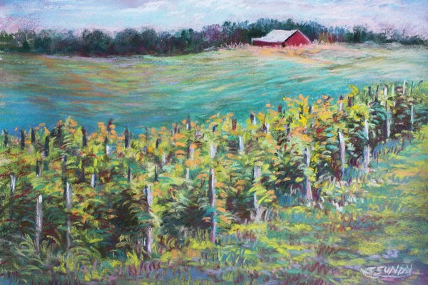 Sharon Sunday: Sandhill Crane Winery View by Sharon Sunday