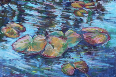 The Lily Pads At Liberty Mill by Sharon Sunday canvas print