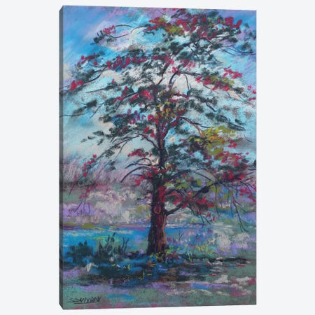 The Lone Tree Canvas Print #SDY37} by Sharon Sunday Art Print