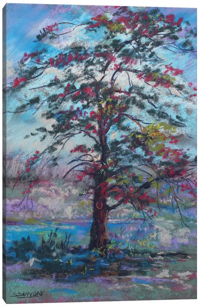The Lone Tree Canvas Art Print - Sharon Sunday