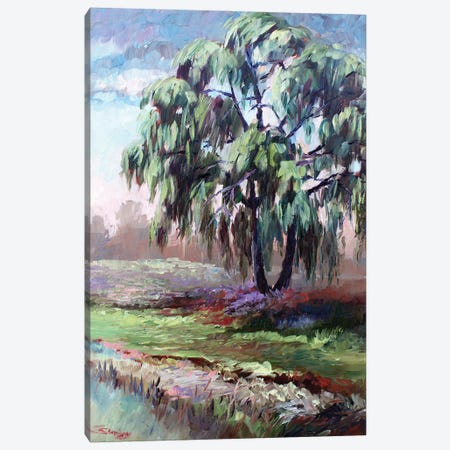 The Old Willow Tree Canvas Print #SDY38} by Sharon Sunday Canvas Wall Art