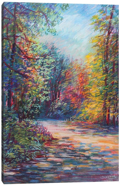 The Path In The Woods Canvas Art Print - Sharon Sunday