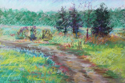 Adrian Landscape by Sharon Sunday framed canvas print