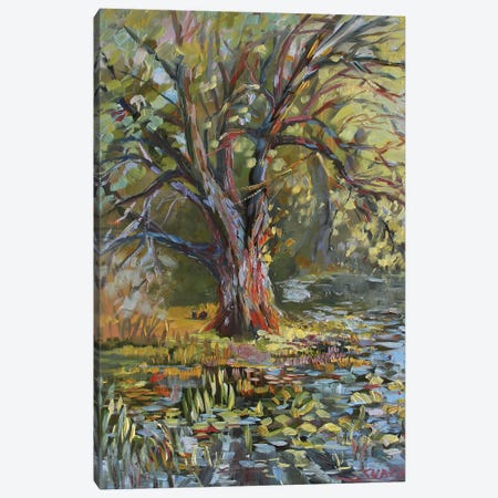 Tree From Sharon Hollow Canvas Print #SDY42} by Sharon Sunday Canvas Print