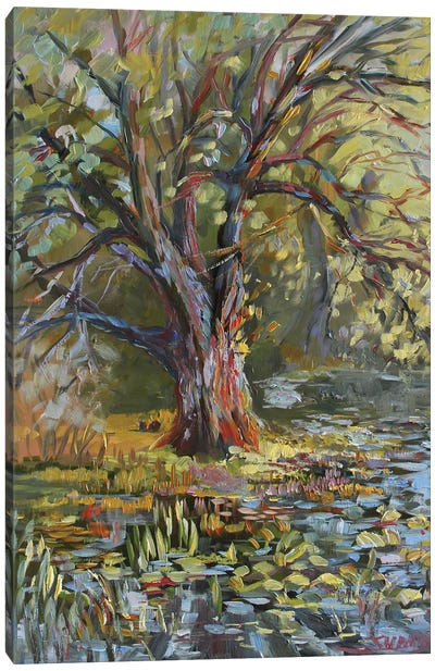 Tree From Sharon Hollow Canvas Art Print - Pond Art