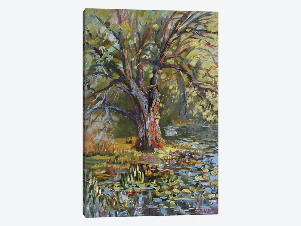 Tree From Sharon Hollow by Sharon Sunday 1-piece Art Print