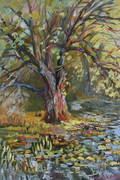 Sharon Sunday: Tree From Sharon Hollow by Sharon Sunday