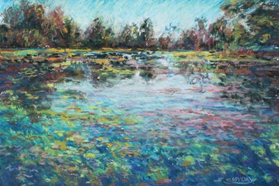 Twilight Pond by Sharon Sunday framed canvas print