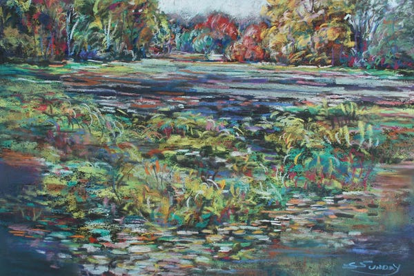 Sharon Sunday: View From Sharon Hollow by Sharon Sunday