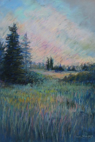 Evergreen Trees: Whispering Trees In The Park by Sharon Sunday