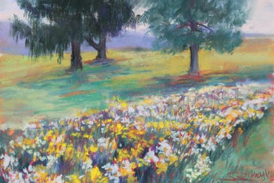 Daffodils In The Park by Sharon Sunday art print