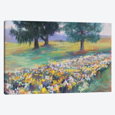 Daffodils In The Park Canvas Print #SDY54} by Sharon Sunday Art Print