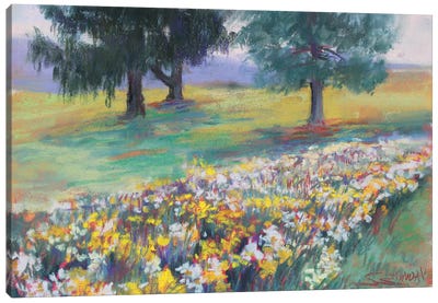 Daffodils In The Park Canvas Art Print - Daffodil Art