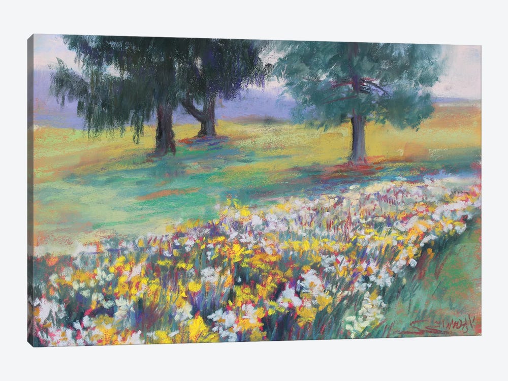 Daffodils In The Park by Sharon Sunday 1-piece Canvas Art