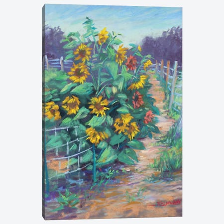 Sunflowers In The Garden Canvas Print #SDY59} by Sharon Sunday Canvas Artwork