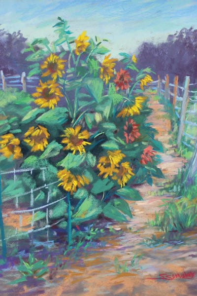 Fine Art Print: Sunflowers In The Garden by Sharon Sunday