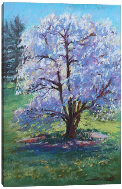 The Cherry Tree Canvas Art Print - Cherry Tree Art