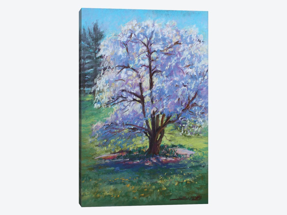 The Cherry Tree by Sharon Sunday 1-piece Canvas Print
