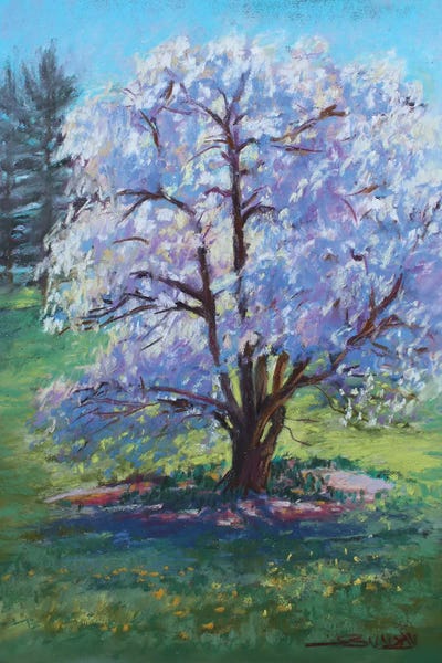 Sharon Sunday: The Cherry Tree by Sharon Sunday