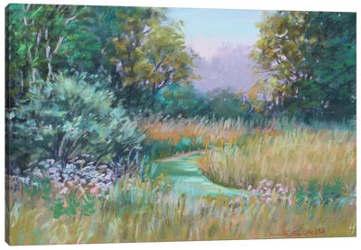 Dreamy Fields Canvas Art Print - Sharon Sunday