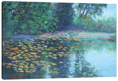 Lily Pads On The Pond Canvas Art Print - Sharon Sunday